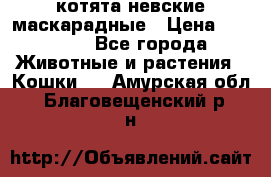 котята невские маскарадные › Цена ­ 18 000 - Все города Животные и растения » Кошки   . Амурская обл.,Благовещенский р-н